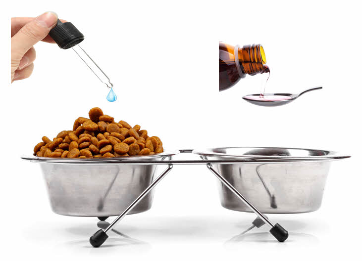 MSM drops make it easy to give to pets