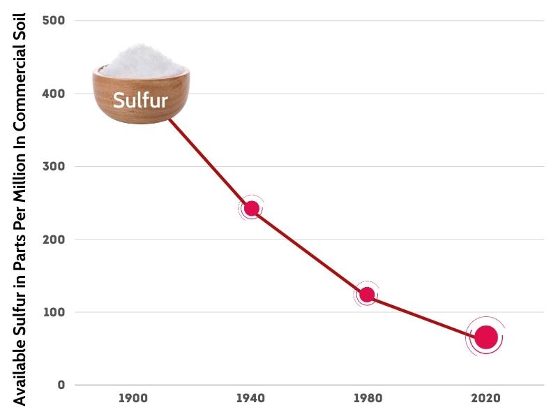Amount of Organic Sulfur Mineral (MSM) In Soil