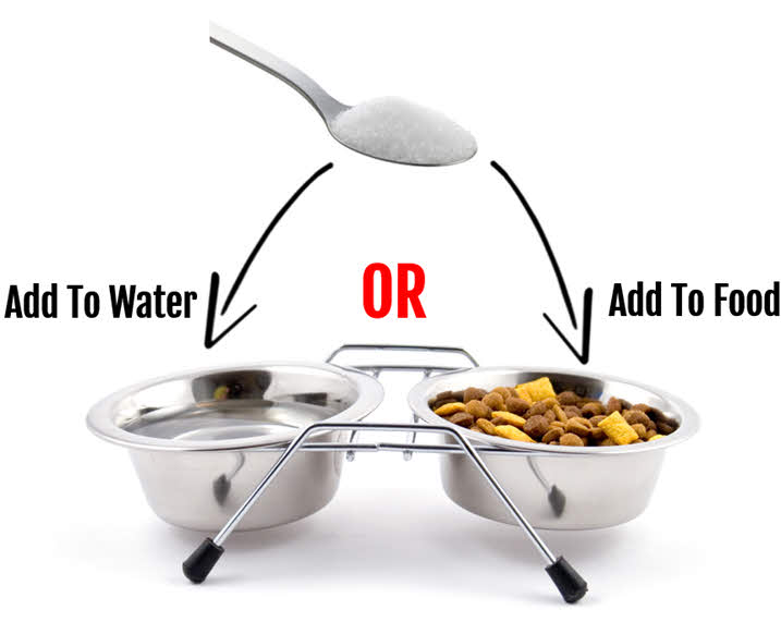 how to give your pet MSM crystals