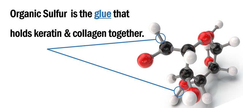 MSM is the Glue For Hair and Compounds like Keratin 