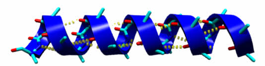 MSM helps build Keratin