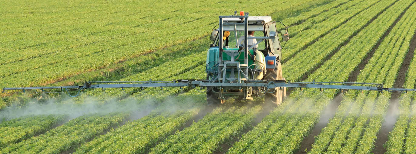 Lack of Sulfur and MSM due to Farming