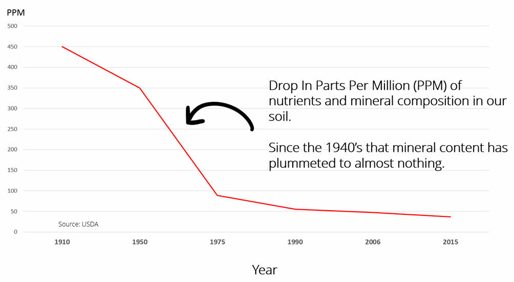 MSM And Sulfur Benefits and Decrease in Soil