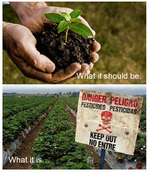 Organic Sulfur and Soil depletion past and present