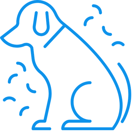 Pet Coat and Skin Issues