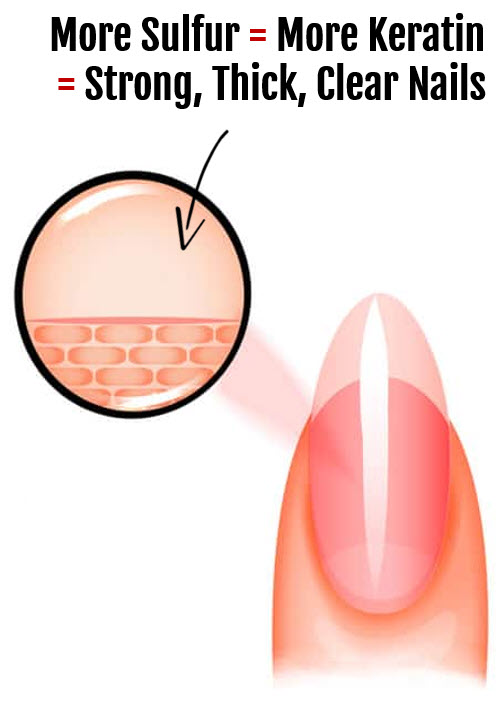 More Sulfur Leads To Stronger Hair and nails too