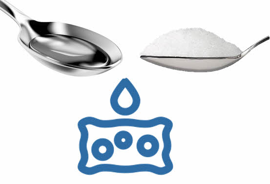 MSM Absorption Rates